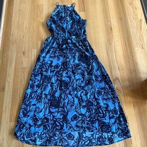 Loft Blue Floral Dress